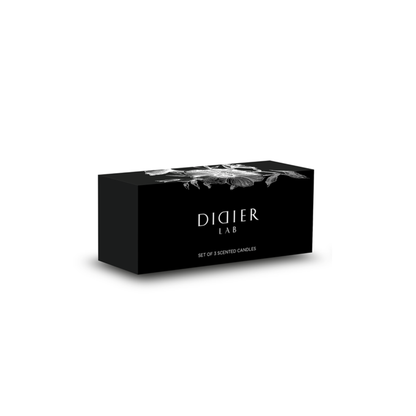 Set of mini candles "Didier Lab", 3 psc x 45gr